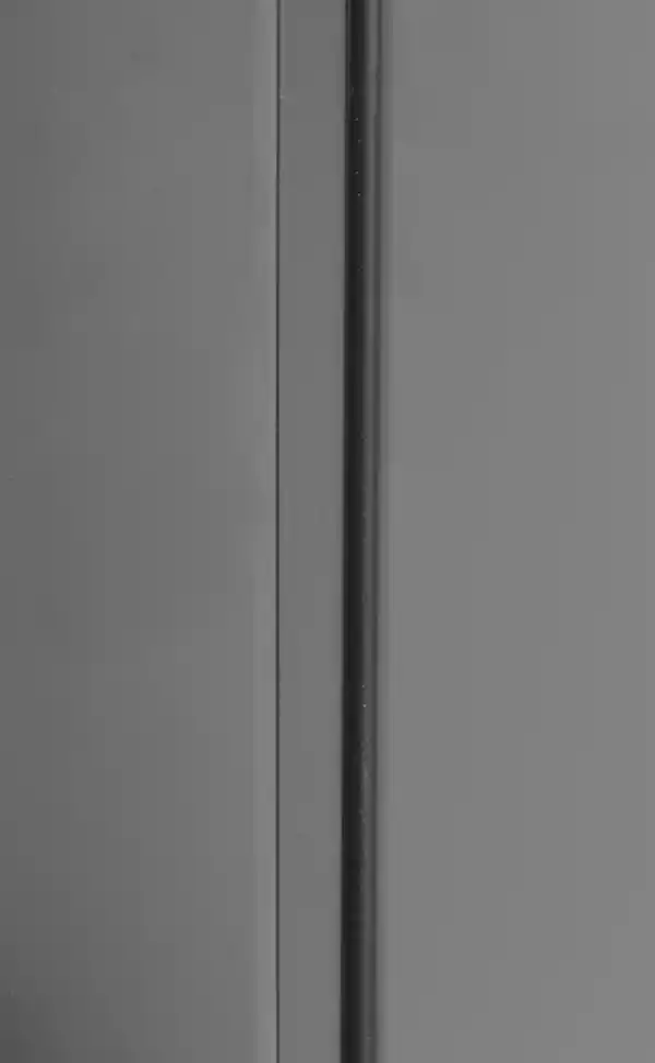 Bild 4 von 3er Mülltonnenbox, ca. 240 x 80 x 122 cm - Anthrazit