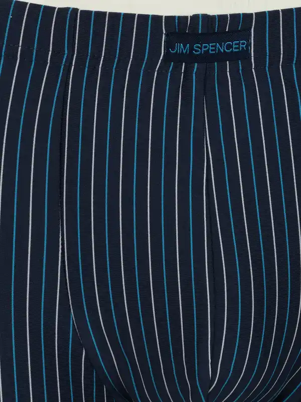 Bild 3 von Herren Pants im 5er Pack Blau