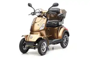 E-Seniorenmobil J4000, Blei-Akku, 4-Rad, 1000 Watt, Blei Braun