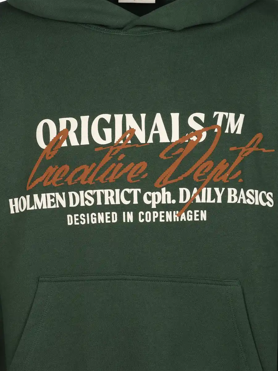 Bild 3 von Jack & Jones JORBEDFORD TYPO SWEAT Hoodie Grün