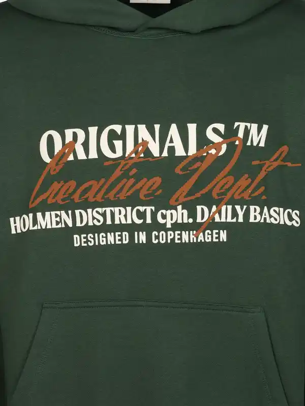 Bild 3 von Jack & Jones JORBEDFORD TYPO SWEAT Hoodie Grün