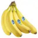 Bild 1 von Costa Rica Chiquita Bananen