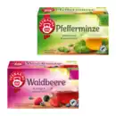 Bild 1 von TEEKANNE Früchte- / Kräutertee XXL