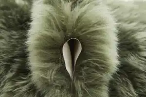 Teppich Schaffell 85 x 60 cm grün