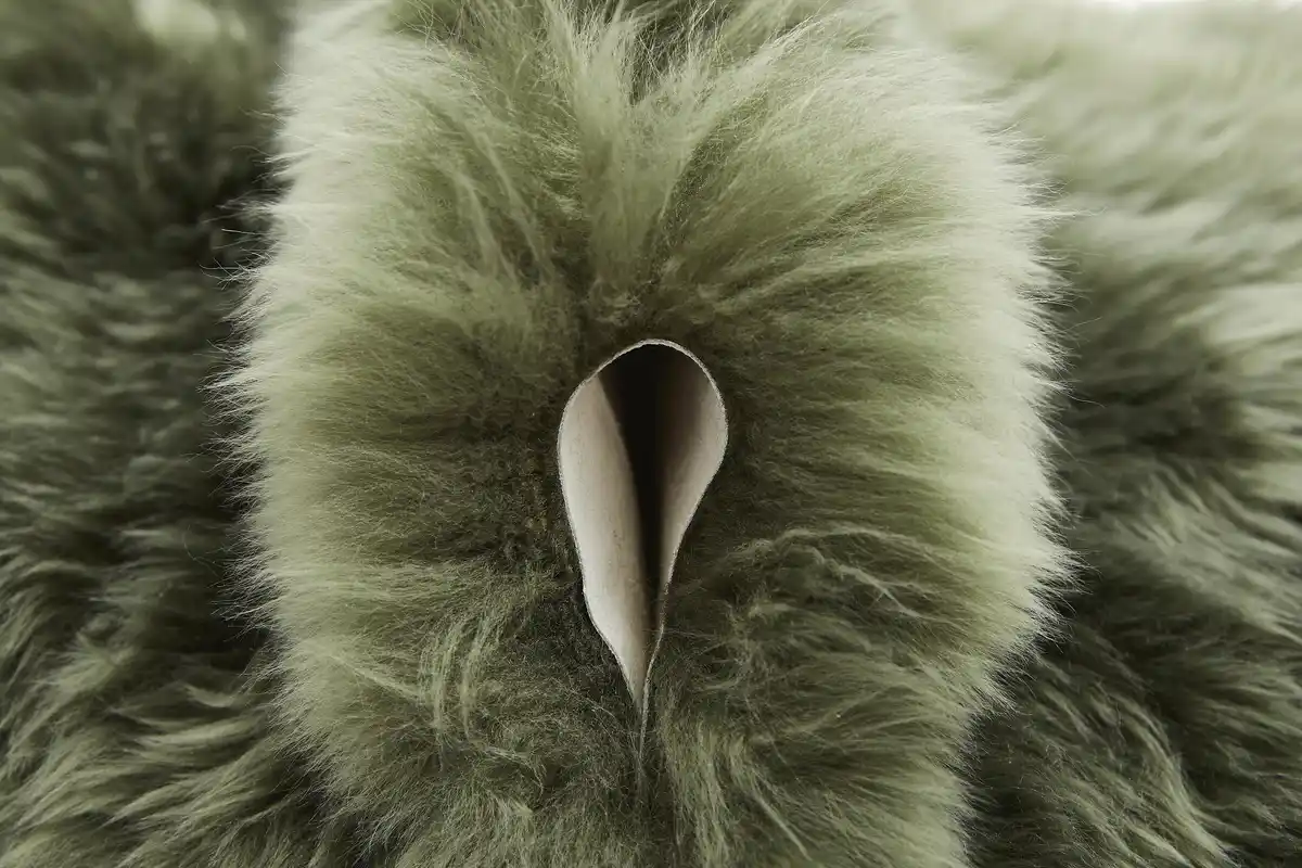 Bild 1 von Teppich Schaffell 85 x 60 cm grün