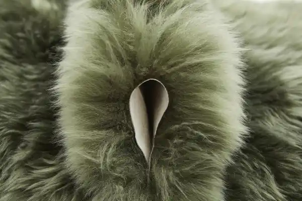 Bild 1 von Teppich Schaffell 85 x 60 cm grün