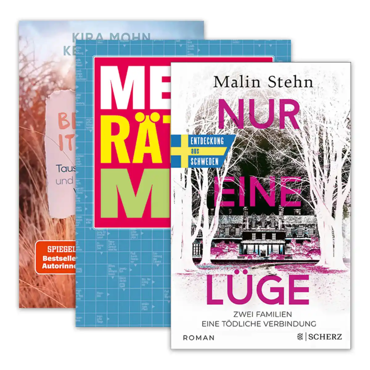 Bild 1 von Roman / Rätsel / Ausmalposter