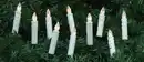 Bild 1 von 10 Baumkerzen 10LED 10xAAA
