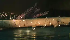 Lichterkette Micro 100LEDs Timer 3xAA ne ww