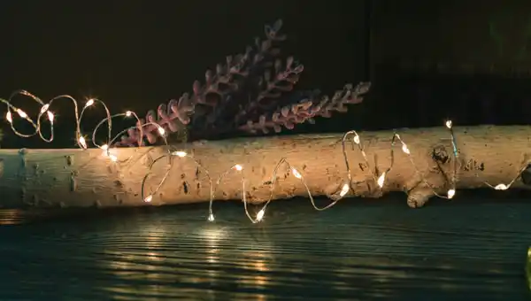 Bild 1 von Lichterkette Micro 100LEDs Timer 3xAA ne ww