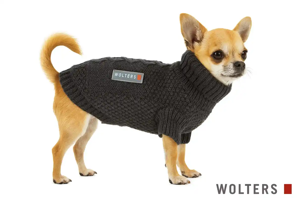 Bild 1 von Wolters Hundebekleidung Strickpullover Tristan graphit