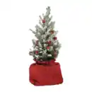 Bild 4 von GARDENLINE Große Zuckerhutfichte