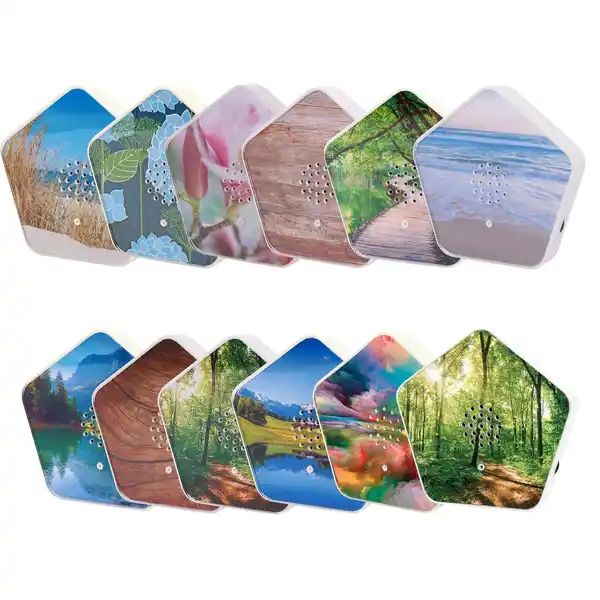 Bild 2 von Sounds of Nature Box OLYMP