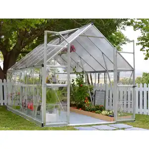 Palram - Canopia Balance 3.7 x 2.4 Gewächshaus Silber klare Seitenwände