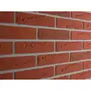 Bild 1 von Elabrick Verblender Oregon 5 cm x 21 cm