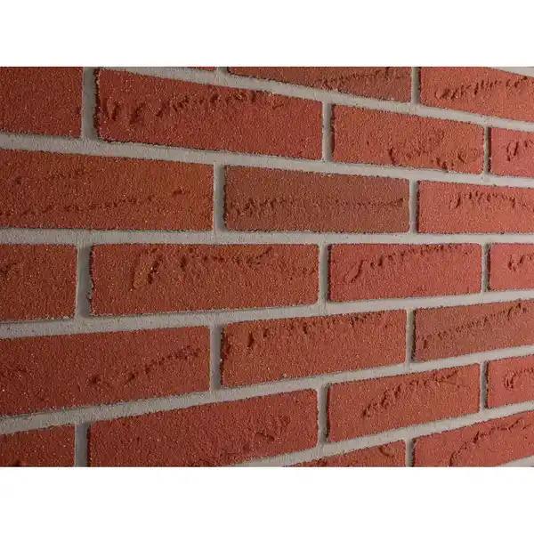 Bild 1 von Elabrick Verblender Oregon 5 cm x 21 cm