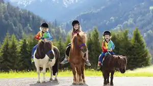 Deutschland - Bayern - 3* Familienhotel Runding