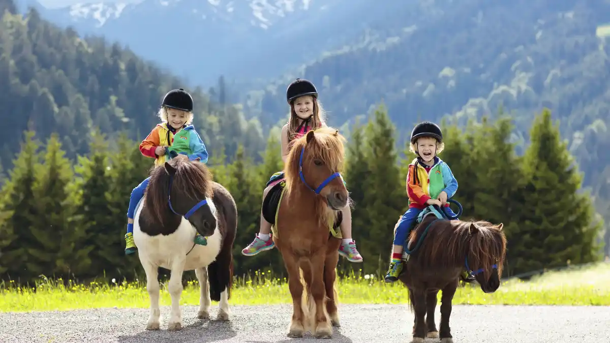 Bild 1 von Deutschland - Bayern - 3* Familienhotel Runding