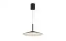 Bild 2 von LED-Pendelleuchte Lampone, schwarz, 1-flammig