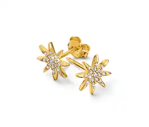 375 Gold Ohrstecker Stern