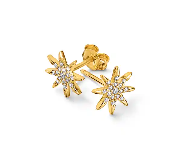 Bild 1 von 375 Gold Ohrstecker Stern