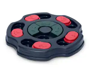 Hunde-Intelligenzspielzeug