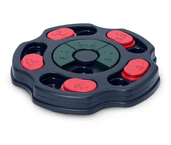 Bild 1 von Hunde-Intelligenzspielzeug