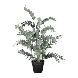 Kunstpflanze Eukalypthus Grün ca. 67cm, Grün