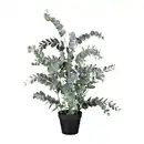 Bild 1 von Kunstpflanze Eukalypthus Grün ca. 67cm, Grün