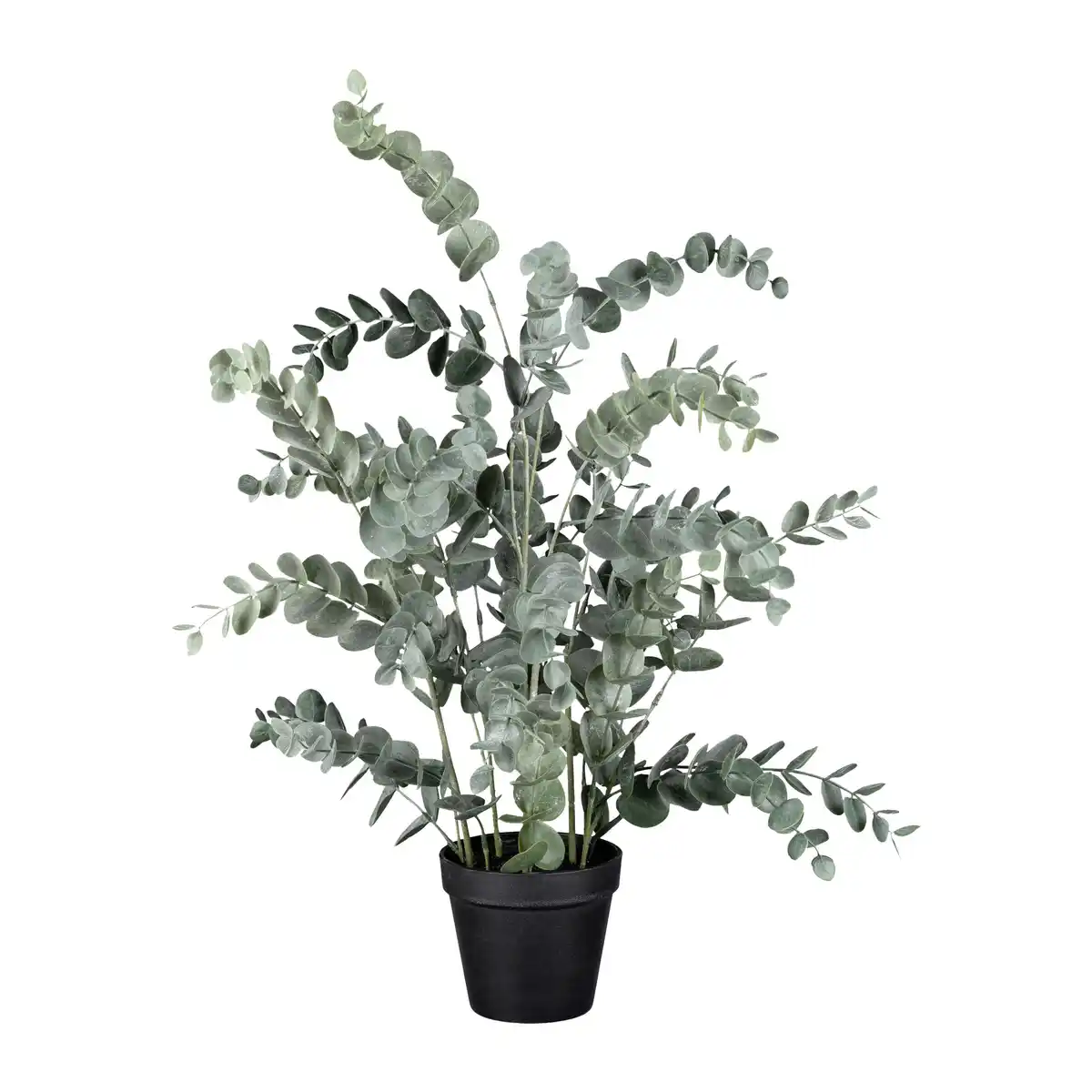 Bild 1 von Kunstpflanze Eukalypthus Grün ca. 67cm, Grün