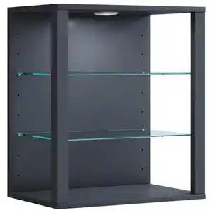 Mid.you Hängevitrine Glasol, Anthrazit, Holzwerkstoff, 2 Fächer, 52x60x35 cm, hängend, Esszimmer, Vitrinen