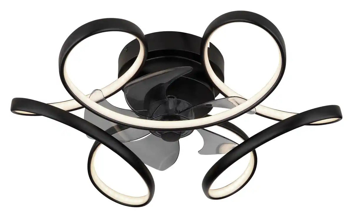 Bild 1 von Deckenventilator Loris Opal/Schwarz max. 13 Watt, Opal, Schwarz