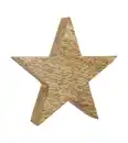 Bild 1 von Deko-Stern XL