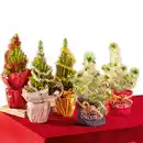 Bild 1 von Geschmückter Weihnachtsbaum