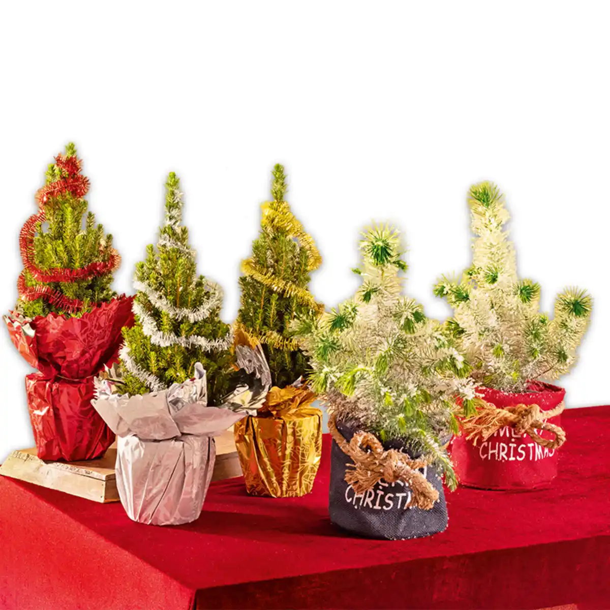 Bild 1 von Geschmückter Weihnachtsbaum