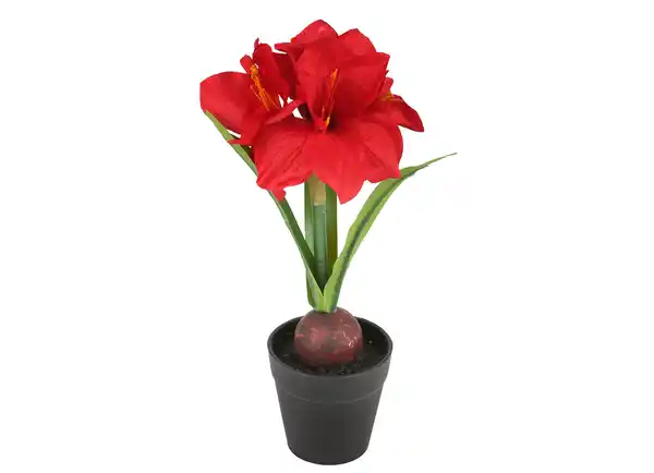 Bild 1 von Künstliche Amaryllis im Topf