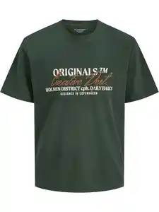 Jack & Jones JORBEDFORD T-Shirt Grün