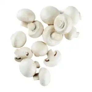 Feine Champignons weiß 250g