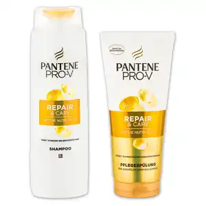 Pantene Spülung / Shampoo