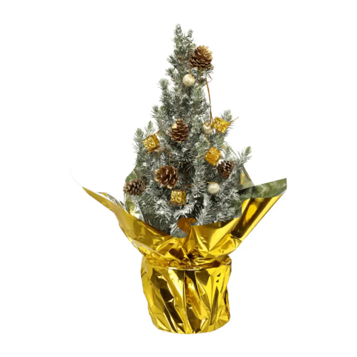 Bild 2 von GARDENLINE Zuckerhutfichte