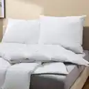 Bild 4 von NOVITESSE Daunentouch-Kissen