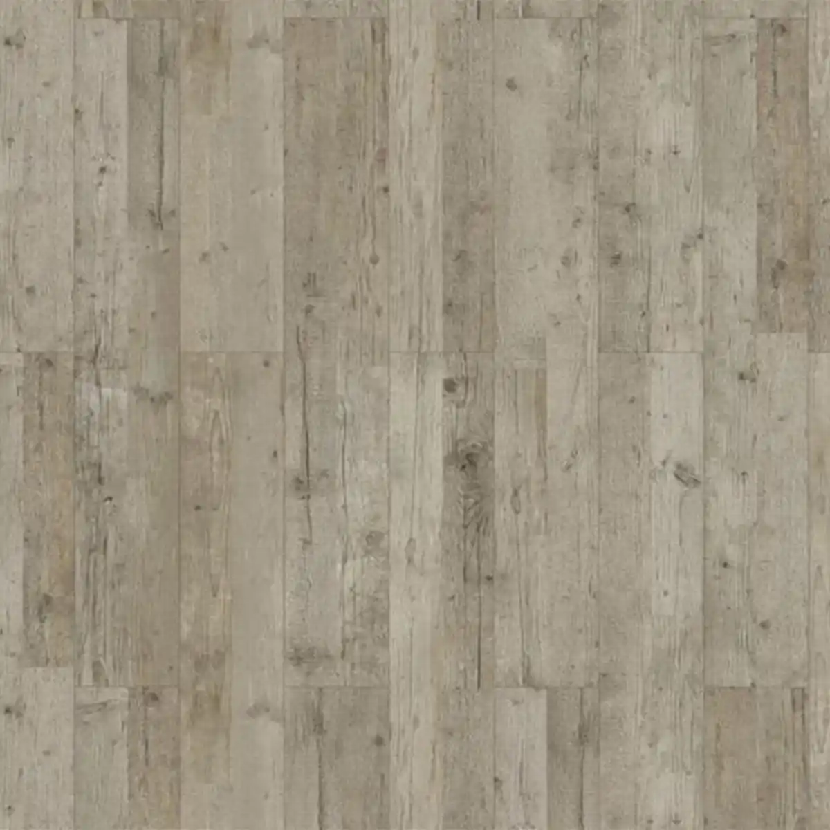 Bild 1 von Classen Vinylboden 'Green Vinyl 4.0' Pinie piniefarben 4 mm