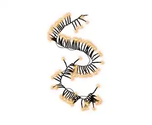 TrendLine LED-Lichterkette Cluster Außen 12 m warmweiß-schwarz mit Timer, Dimmer