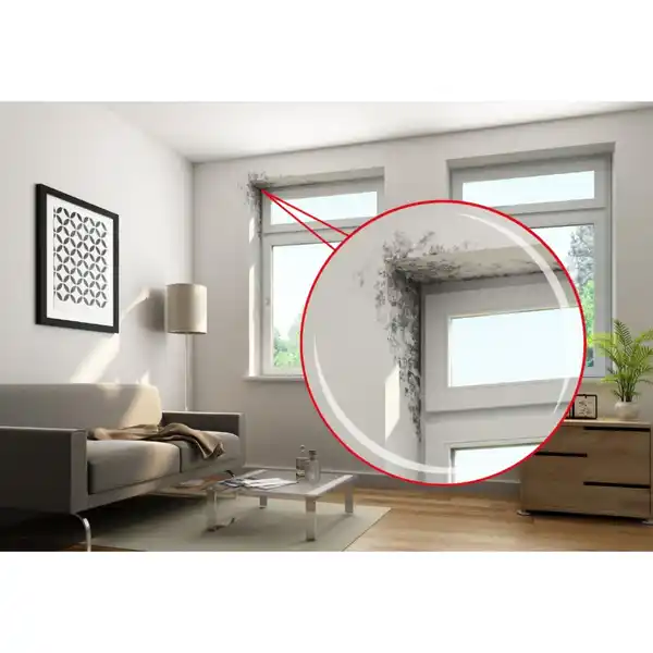 Bild 2 von MELLERUD Schimmel-Entferner, transparent, 0,5 l