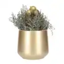 Bild 3 von GARDENLINE Stacheldraht in Keramik