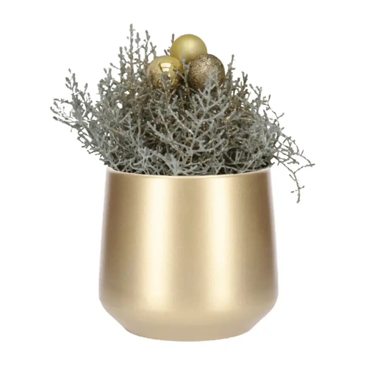 Bild 3 von GARDENLINE Stacheldraht in Keramik