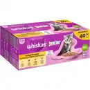 Bild 1 von Katzen-Nassfutter »Junior«, 40 x 85 g, Geflügel Auswahl in Gelee