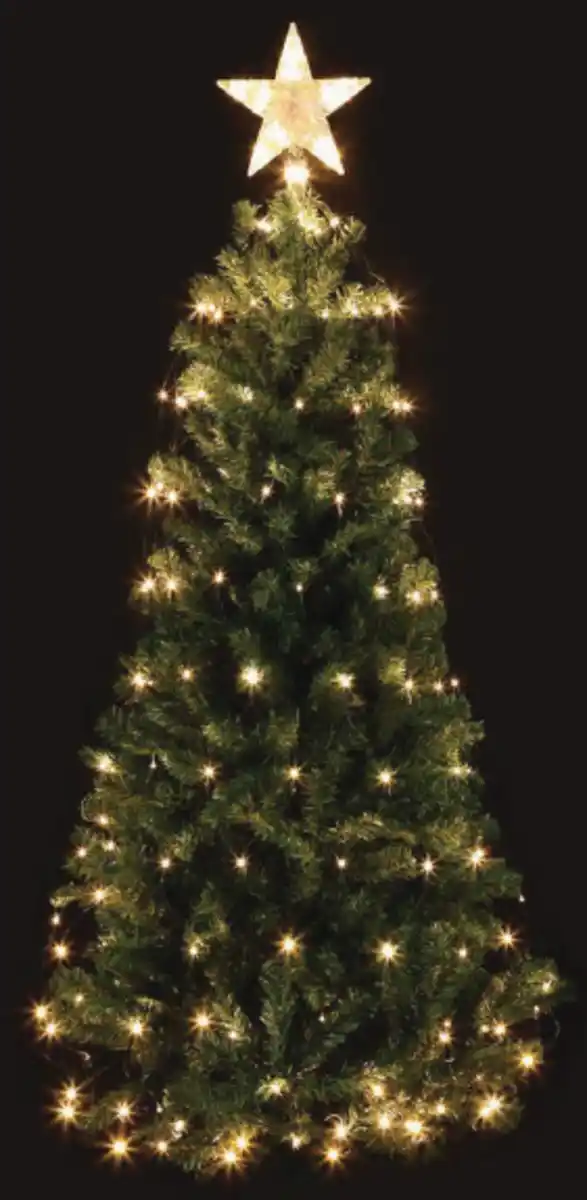 Bild 1 von Lichternetz mit Stern 160 LED, warmweiß