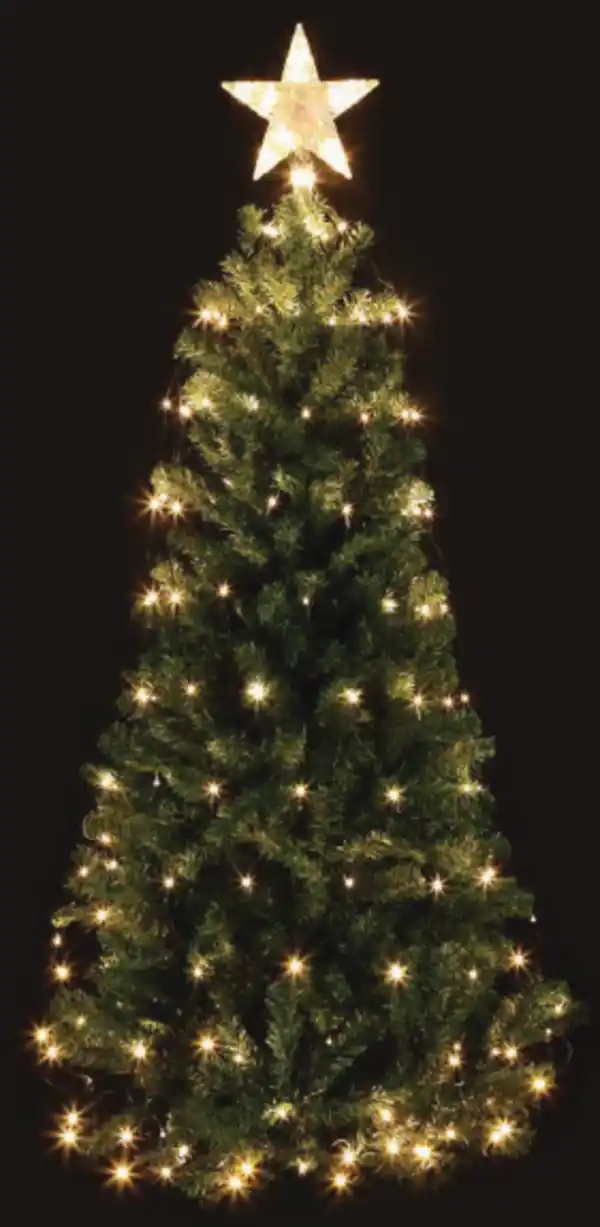 Bild 1 von Lichternetz mit Stern 160 LED, warmweiß