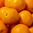 Bild 2 von Götterfrucht Orangen